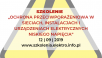 Ochrona przeciwporażeniowa w sieciach, instalacjach i urządzeniach elektrycznych niskiego napięcia - zagadnienia wybrane